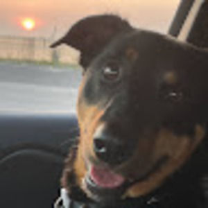 Meet your Posher, Karen